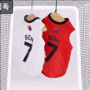 멍냥이그루밍