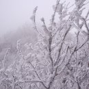 유산로 이미지
