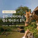 발리 사파리 완벽 가이드 공연 일정, 사파리 저니 후기, 맹수 먹이주기 체험 후기