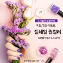 신데렐라뷰티 이미지