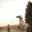 챔프이야기 이미지