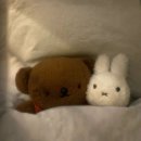 밀리언디저트카페 이미지