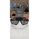 트랜디카 이미지