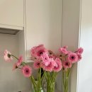 블랙박스 | ❤️ 르노 필랑트 신차패키지｜BELLA 썬팅 + Z9900 블랙박스 시공 후기