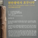 광덕1로3 이미지