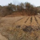 군북면 면사무소 이미지