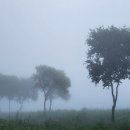 왕버들공원화장실 이미지