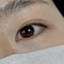 니네집 | [순천/조례동] 순천 조례동 속눈썹 파마 맛집 그리니뷰티 내돈내산 솔직후기