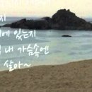 아직 내 가슴 속엔 니가 살아-박학기 이미지