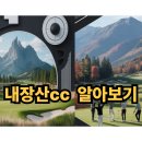 대일내장산컨트리클럽 | 2025 11월 내장산 cc 알아보기