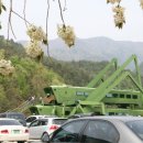 구절리역 이미지