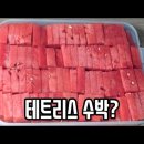 수박 자르는 방법 (테트리스 수박) 🍉 이미지