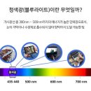 중앙안경 이미지