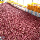 선화농장 이미지