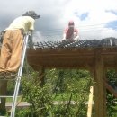 정자농장 이미지