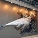 주식회사 셀프세차킹콩샤워 | 안산 실내 셀프 세차장 킹콩샤워 안산점 24시 셀프 세차 가능한곳