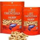 (주) 펫앤미 이미지