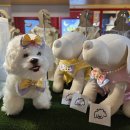 개순이상점 이미지