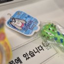 펫츠아일랜드세종나성점