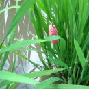 남도마당 이미지