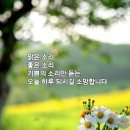 밤새 - 보령시 | 밤새