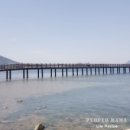 인라인스케이트장 이미지