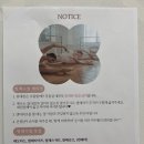 [충남/아산]라움무용학원(feat.선 예뻐지기🤸‍♀️)