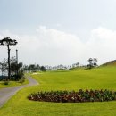 윈체스트컨트리클럽 서산 이미지
