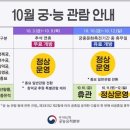 연못1길 15, (문화동) | 서울 가을나들이 경복궁 주차장 입장료 수문장교대식 등 관람 후기