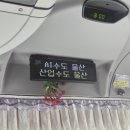 뮤직테이크 | 이렇게까지 사랑할 생각이 없었는데 까치산 보러 당일치기로 울산까지 갔다온 <울산뮤직페스티벌> 후기