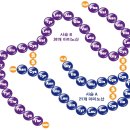 G5615 이미지