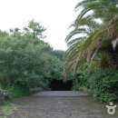 24시예술스파랜드 이미지