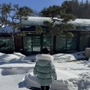 살아생전 꼭 가봐야하는 산골독채펜션 | 덕유산근처 맛집 무주 산골가든 능이버섯토종닭백숙