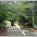 꽃신 | 부산전통예술관 주차 및 전통문화 무료체험 수업 후기:꽃신 만들기