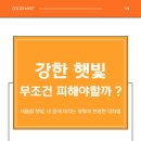 햇빛 좋은 PT 이미지