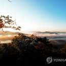 일원본-109 이미지