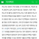 하루치즈 이미지