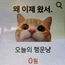 메가커피수월점 | 메가커피 애플머스캣 요거트 스무디 상큼함 터지는 신메뉴 내돈내산 솔직후기 (가격,칼로리)
