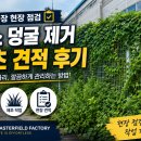 건륭종합정비공장 | 김포 공장 펜스 덩굴 제거·제초 견적 후기｜방치된 울타리 현장 점검부터 작업 계획까지