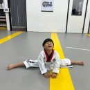 리더태권도장 이미지