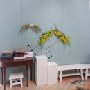 노블 소프트 | 진월동 노블스튜디오 방문 후기ㅣ사람 냄새 나는 따뜻하고도 만족스러운 감성 사진 이야기