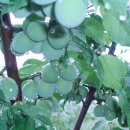 동촌농장 이미지