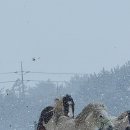 말무리목장 이미지