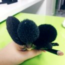 하우스&Cleaning 이미지