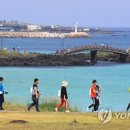 제주 이미지