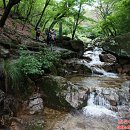 우이동 주막족발집 이미지