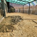 스토리펫 이미지