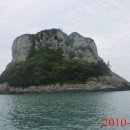 복생도 Daum백과