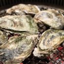 하늘테라스관광펜션 이미지