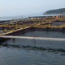 자원개발연구소 이미지